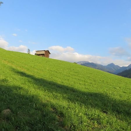 Pension Muehlbachhof Alpbach Luaran gambar