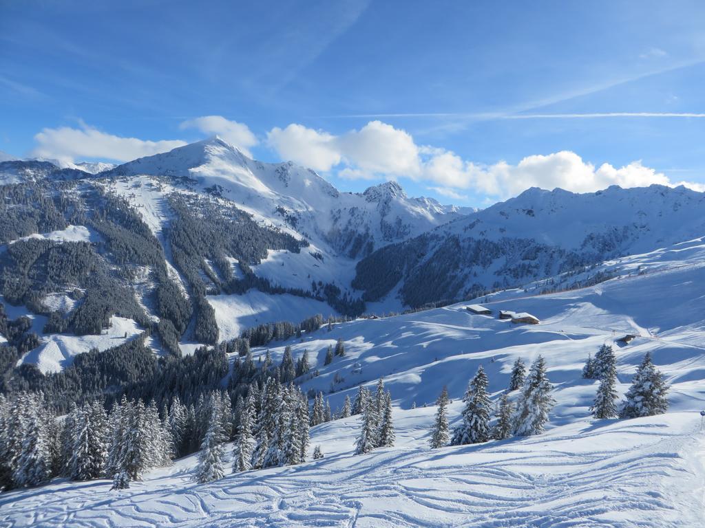Pension Muehlbachhof Alpbach Luaran gambar