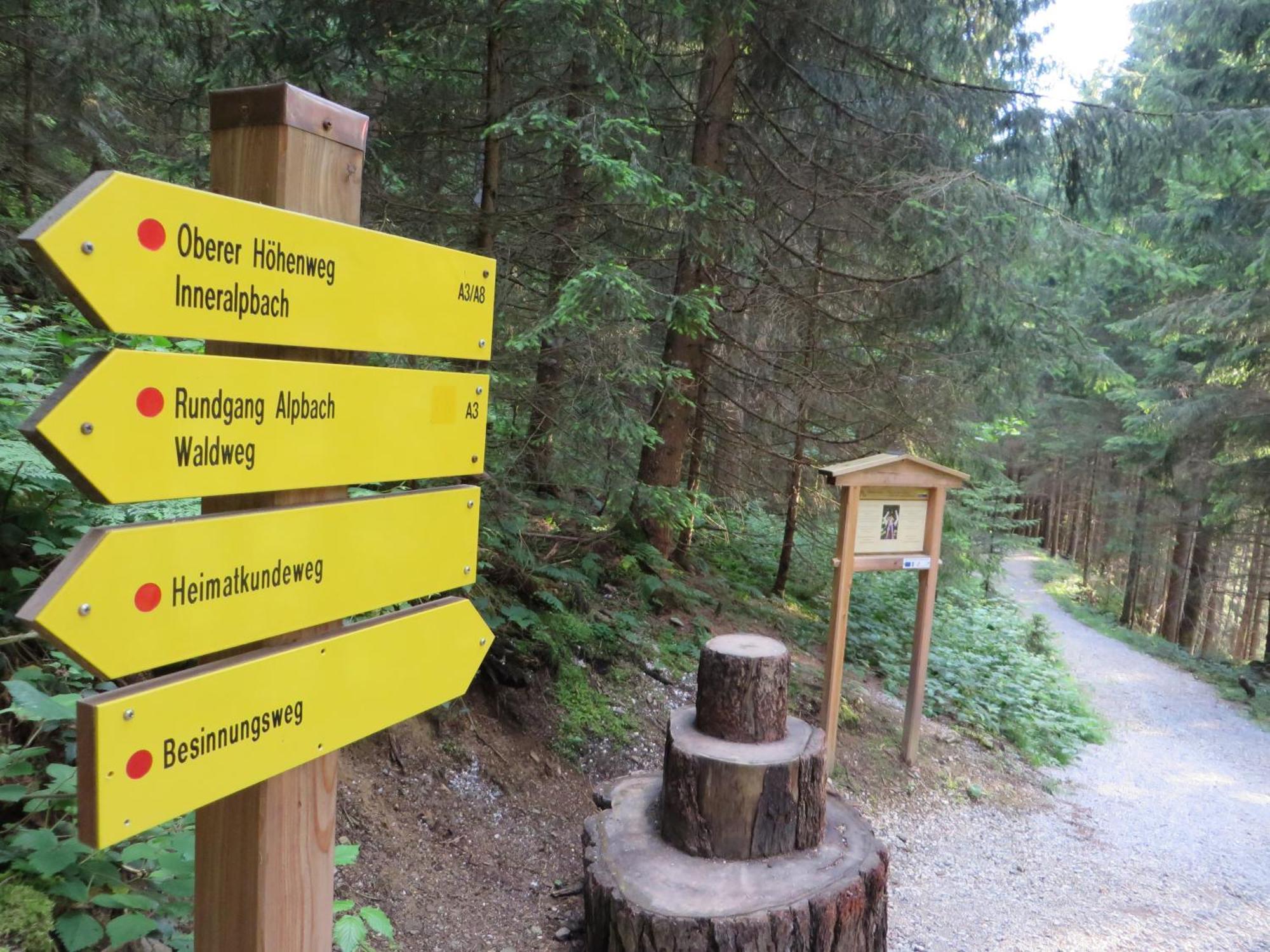 Pension Muehlbachhof Alpbach Luaran gambar