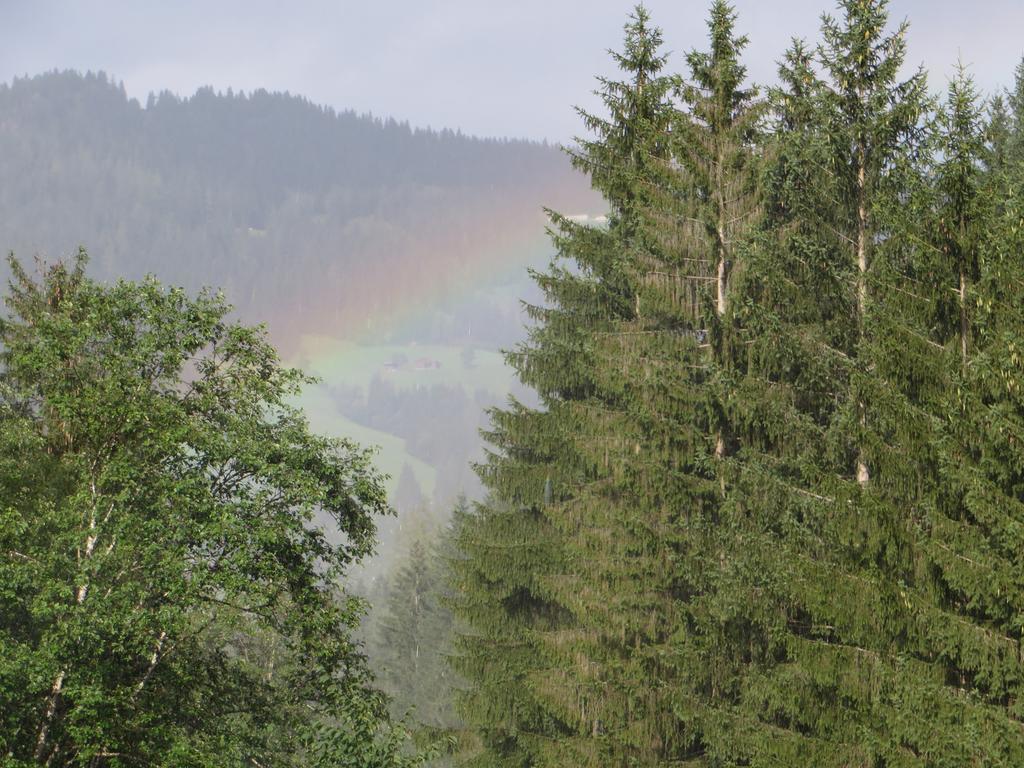 Pension Muehlbachhof Alpbach Luaran gambar